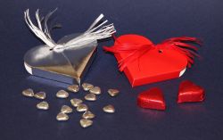 Foto principal Heart cases