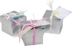 Foto principal Silver cases 