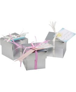 Foto principal Silver cases 