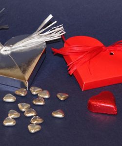 Foto principal Heart cases